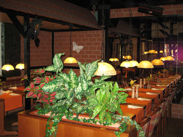 Restaurant Steak & Schnitzelhaus Butterfly Duderstadt Restaurant Steak & Schnitzelhaus Butterfly Duderstadt