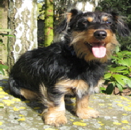 Hotel Duderstadt, Hotels Duderstadt, Hotel Restaurant Duderstadt